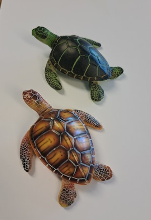 Havskildpadde Sæt med 2 stk.
