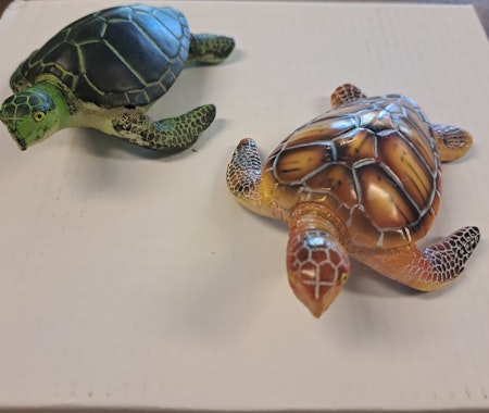 Havskildpadde Sæt med 2 stk.