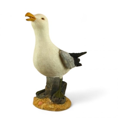 måge