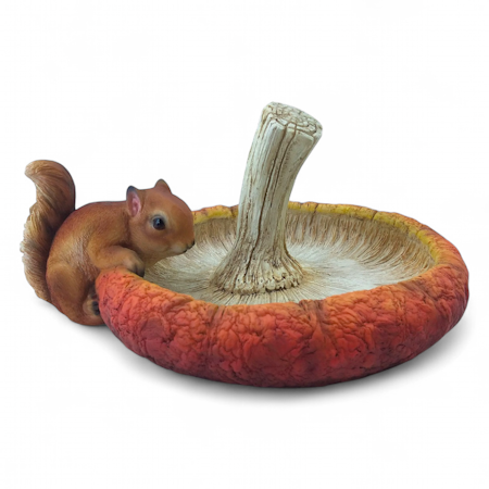 squirrel fuglebad