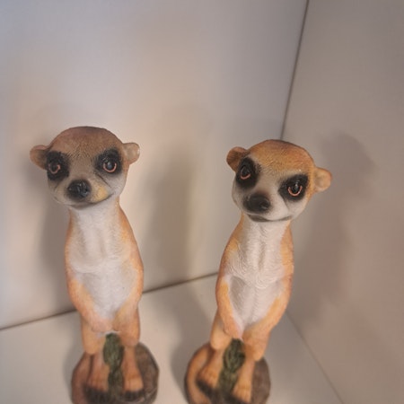 Surikater mini 2-pak