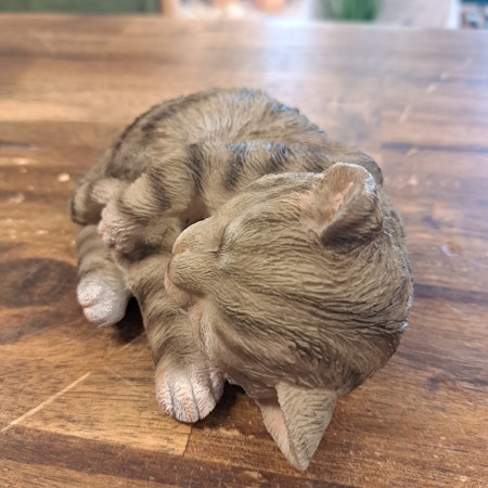 Sovende kat grå