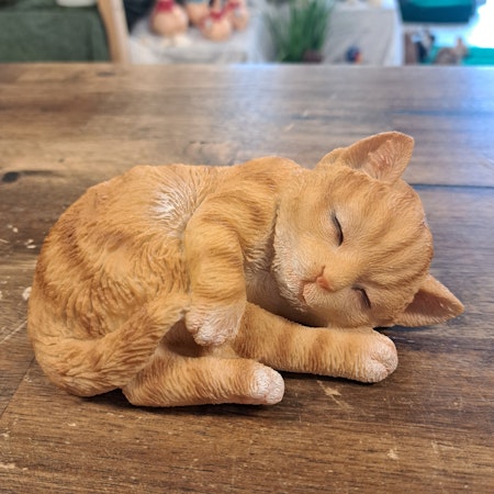Sovende kat rød