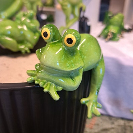 Frø Kantenhopper