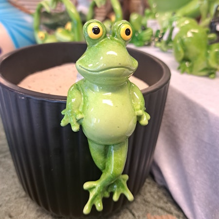 Frø Kantenhopper
