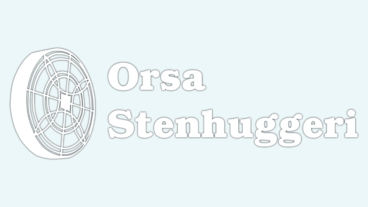 ORSA STENHUGGERI - Helt logiskt