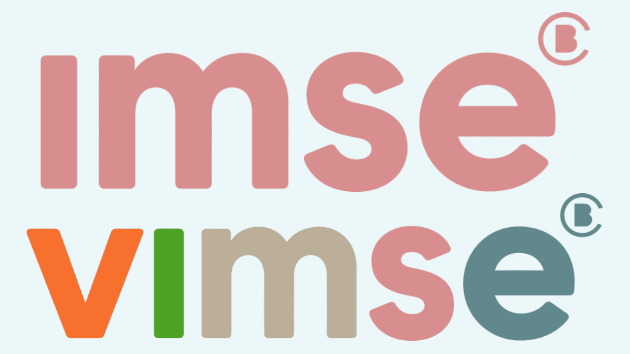 IMSE / VIMSE - Helt logiskt