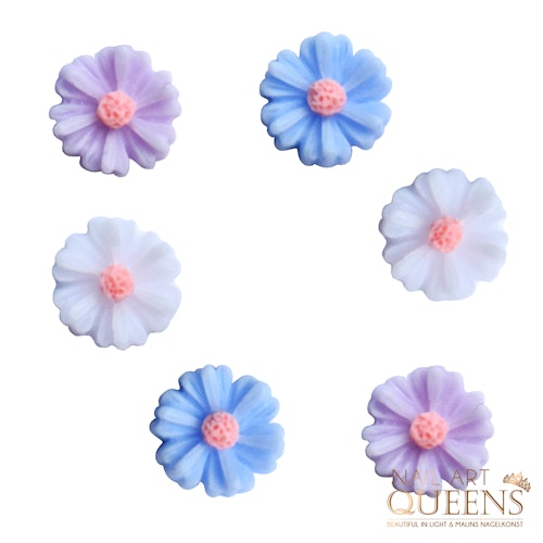 3D Flowers 6PCS