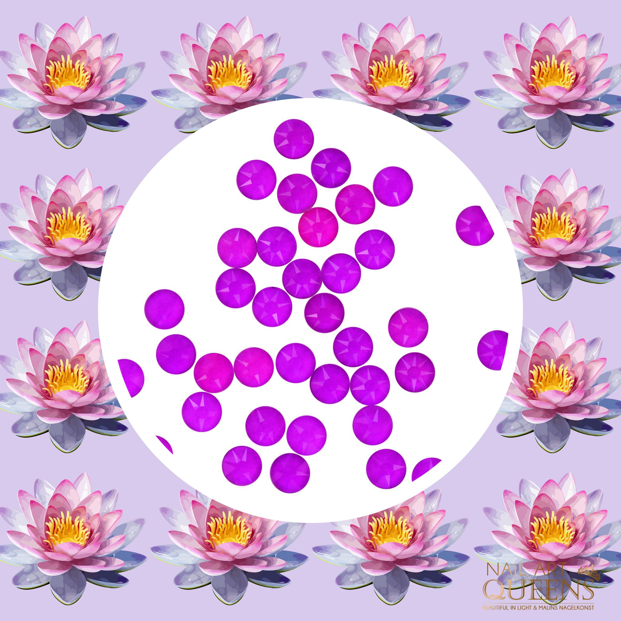 Water Lily