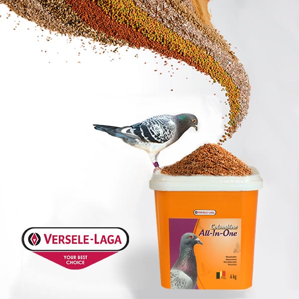 All-In -One Grit