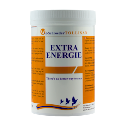 Extra Energy