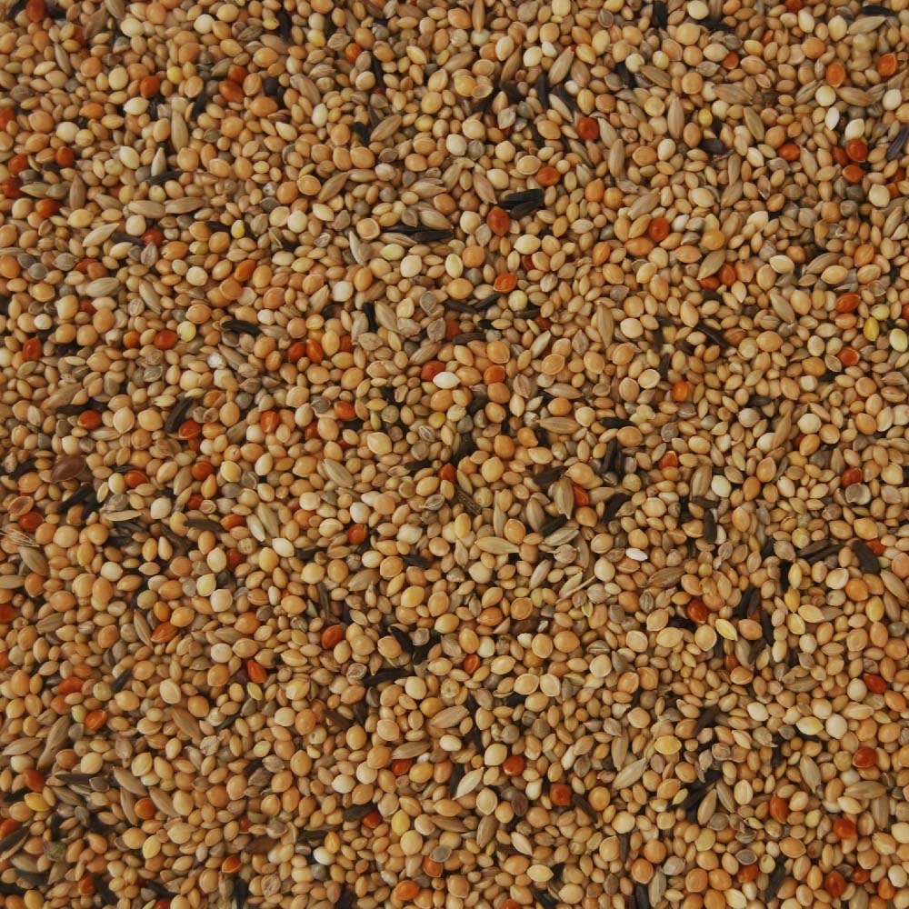 Backs exotiskt fågelfoder 2,5kg