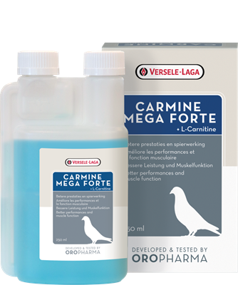 Carmine Mega Forte 250ml