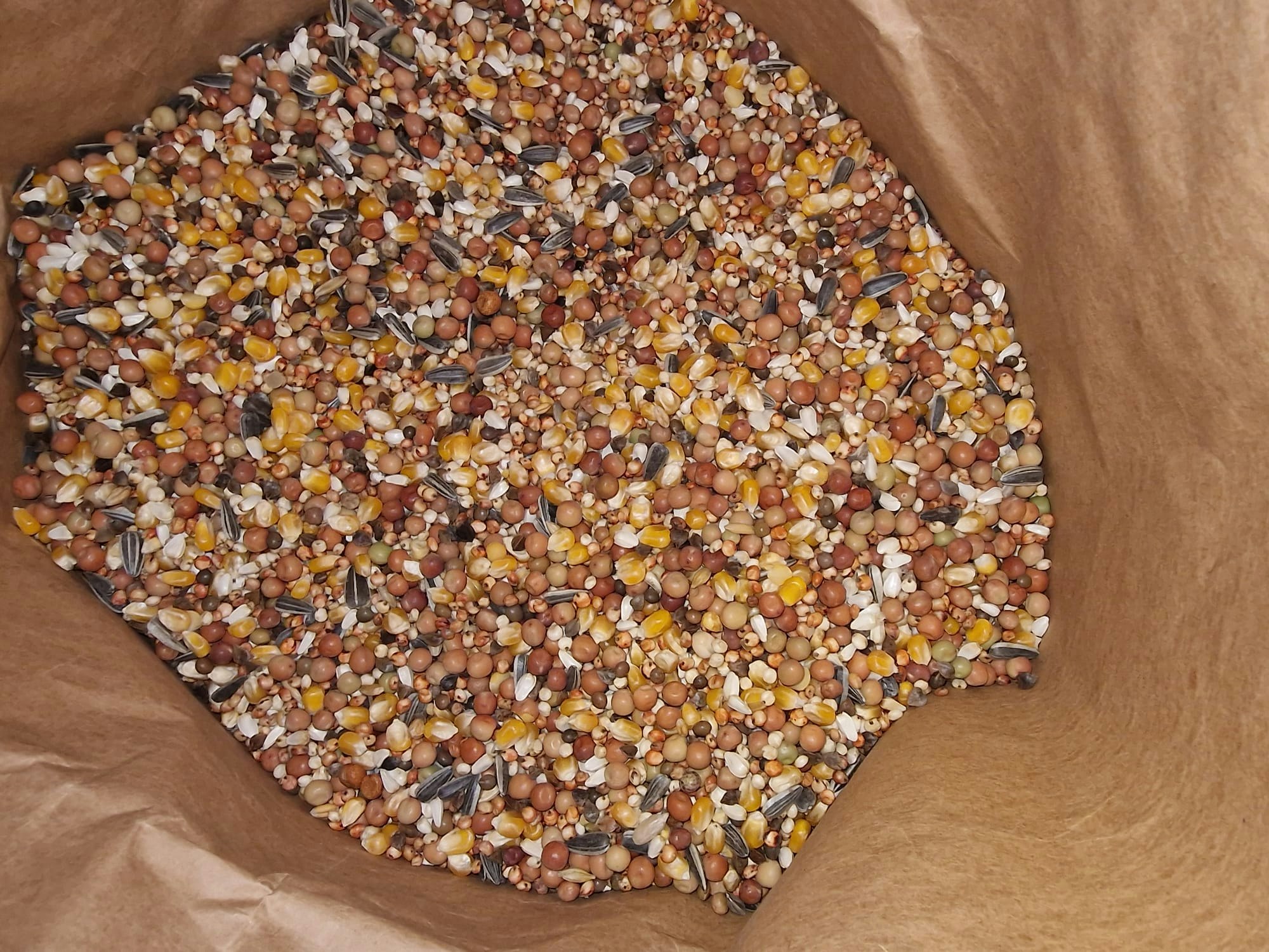 RASDUVA 2 - SMÅ FRÖER (20KG)
