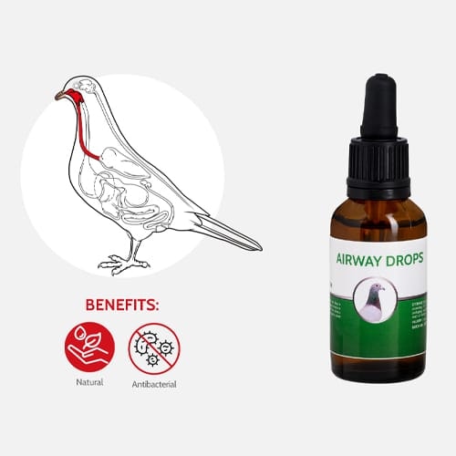 AIRWAY DROPS 30ml