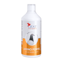 AMINO FORTE 1000ml