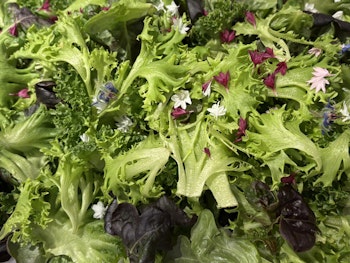 Farmers Pick - 500 grams festpåse