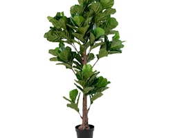 Konstgjord Växt, Fiddle Leaf Tree, 190 cm
