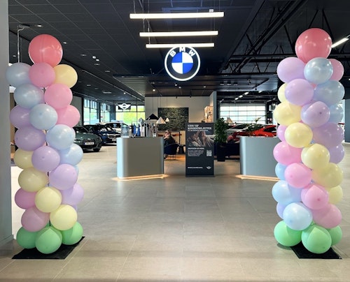 Ballongpelare inklusive Ballonger