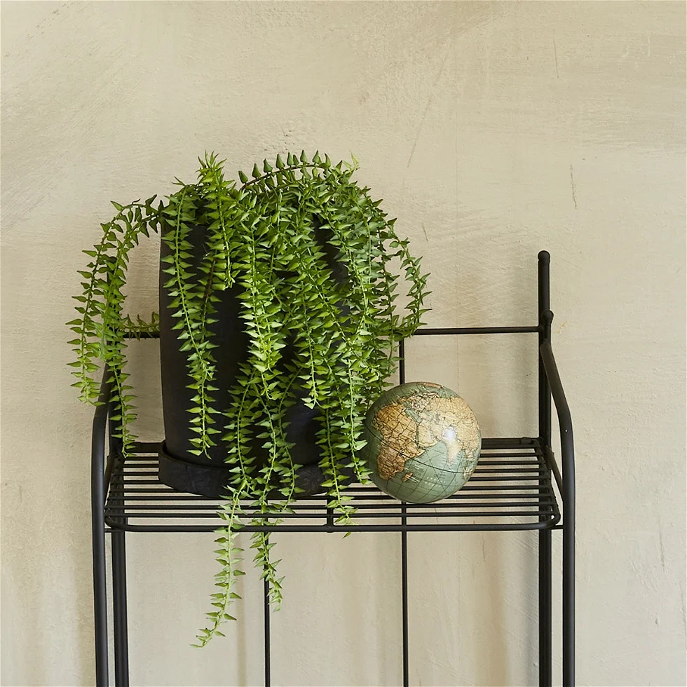 Milto-living > Potteplanter & Planter
