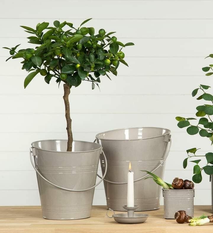 Plantespand emalje Stor