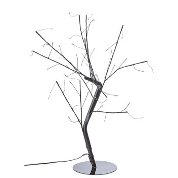 Bonsai lystræ