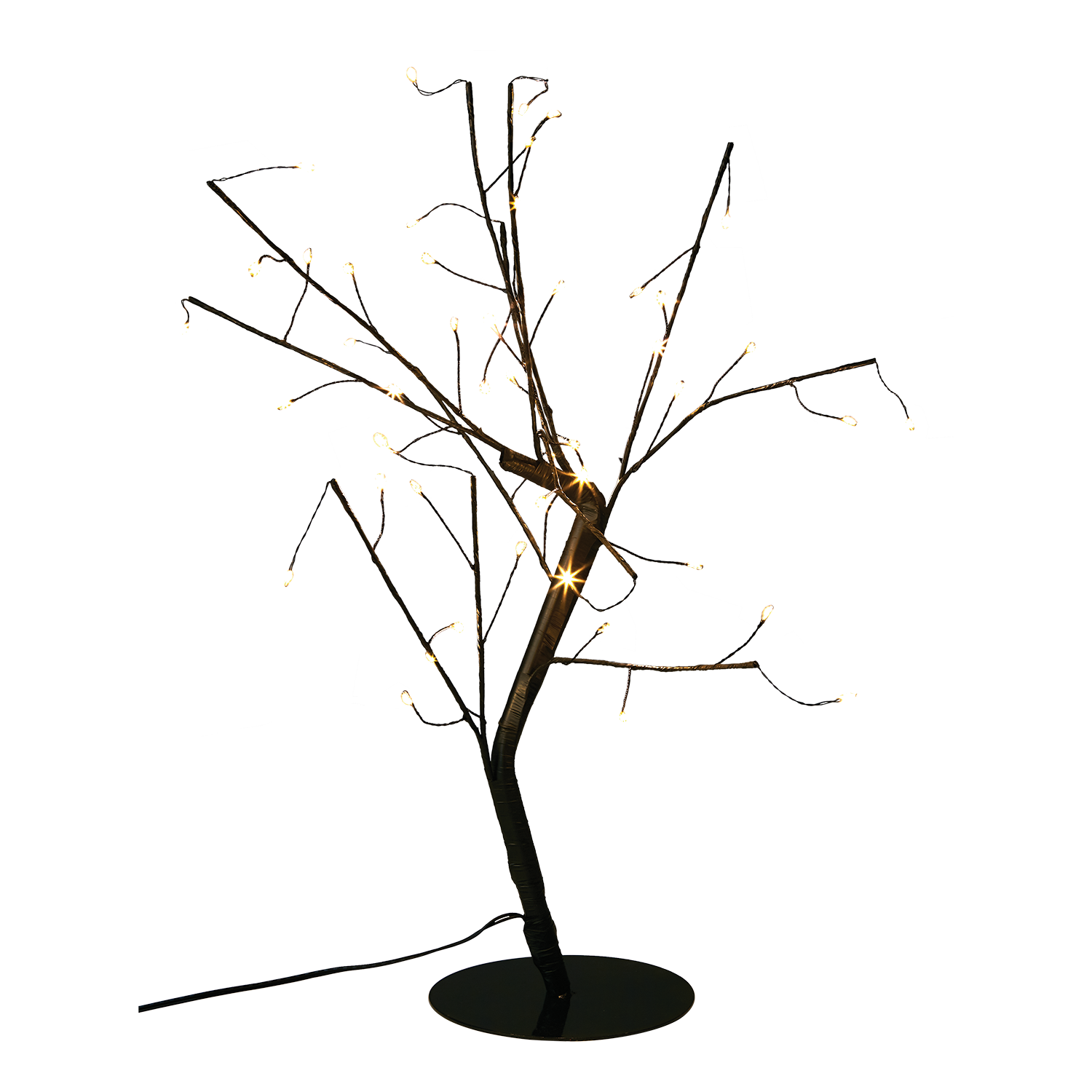 Bonsai lystræ