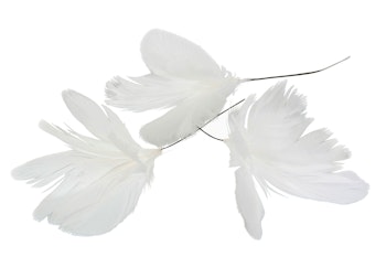 Fjer blomster