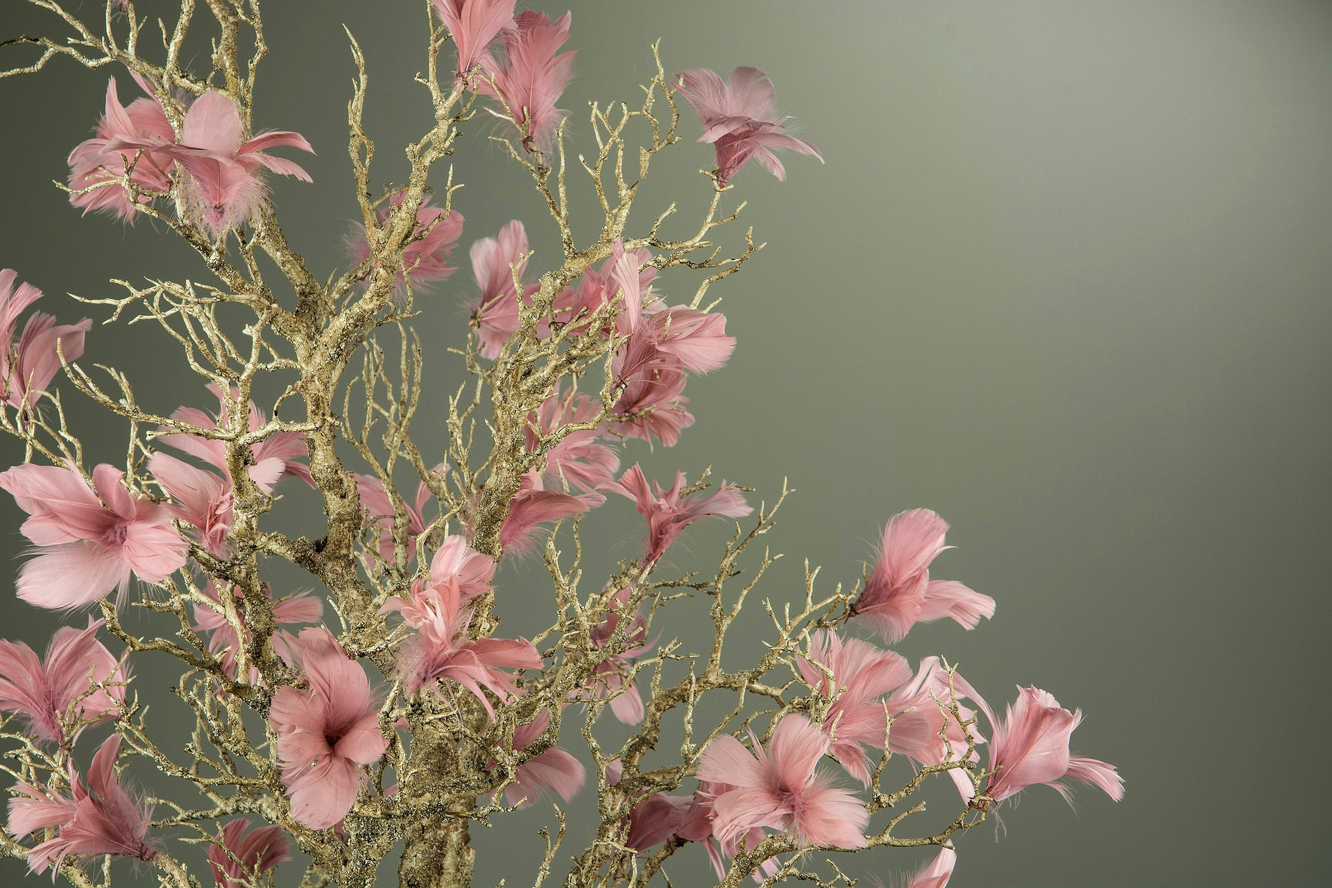 Fjer blomster