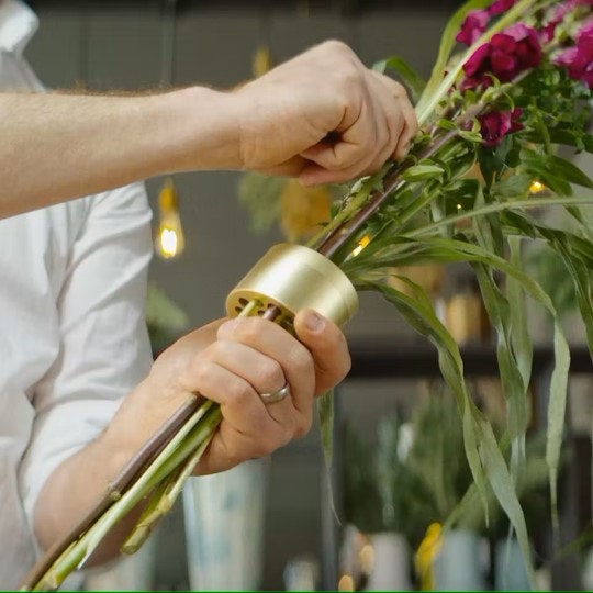 Hanataba guld champagne