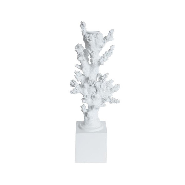 Coral lysestage