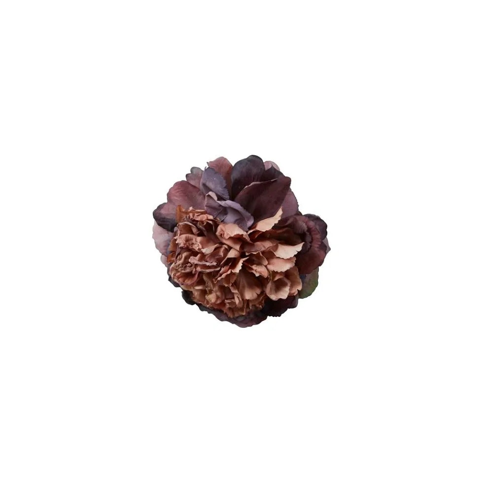 Peon hoved purple