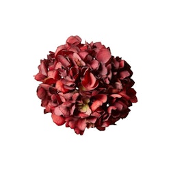 Hortensia hoved Deep Red