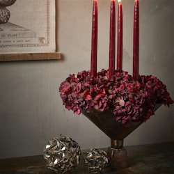 Hortensia hoved Deep Red