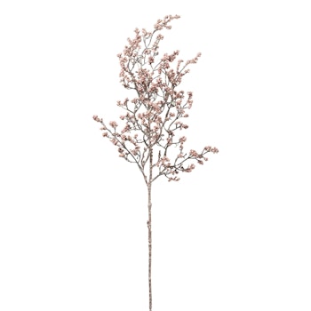 Bærgren Mauve