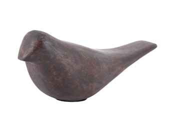 Bird mango træ mørk