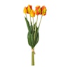 Papegøje tulipan orange