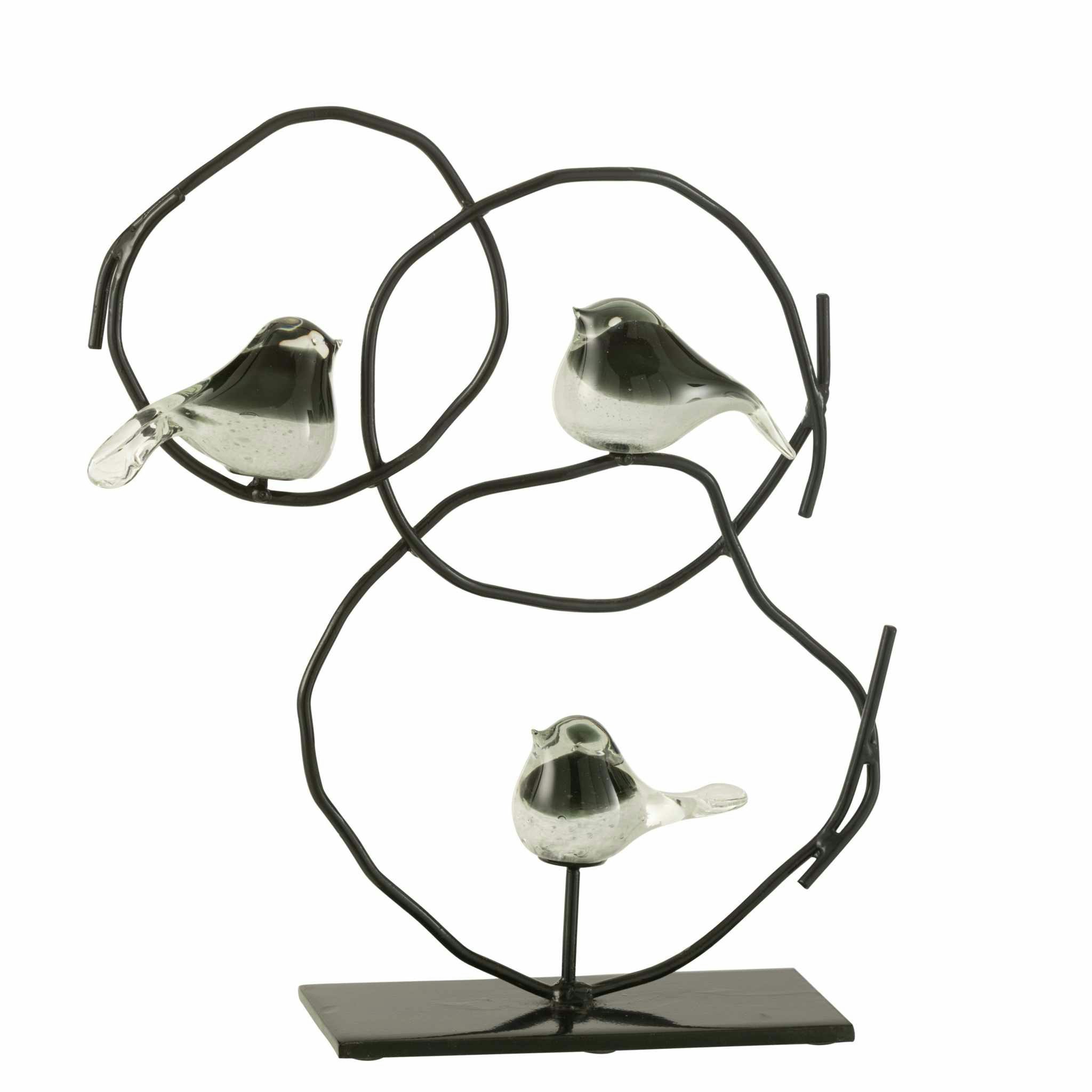 Cirkler med glas fluge
