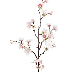 Kirsebærblomst H60cm