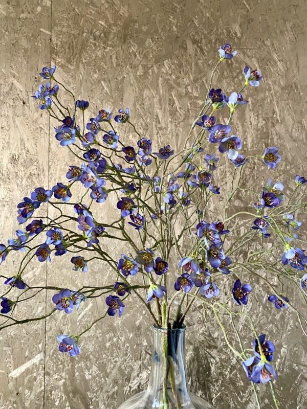 KIRSEBÆRGREN m/blomst