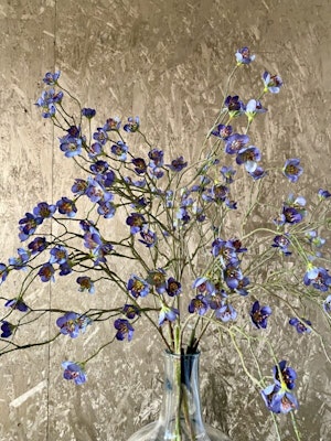 KIRSEBÆRGREN m/blomst