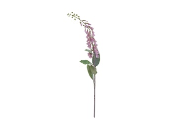 Lupin (fingerbøl stilk)