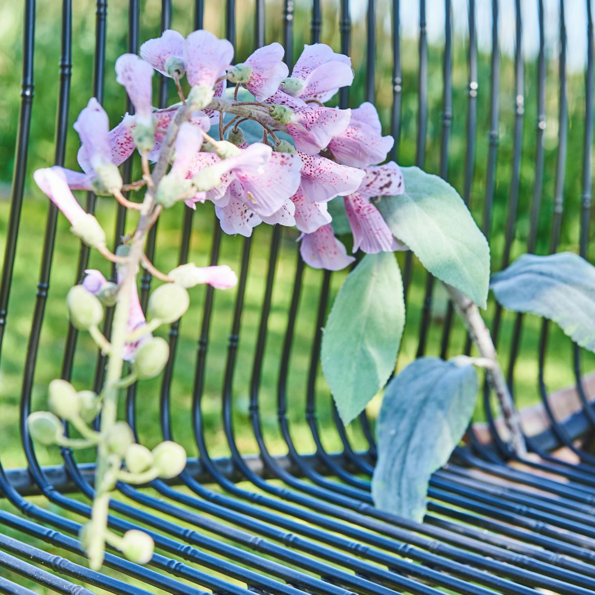 Lupin (fingerbøl stilk)