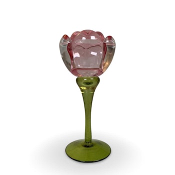 Lysestage Rose