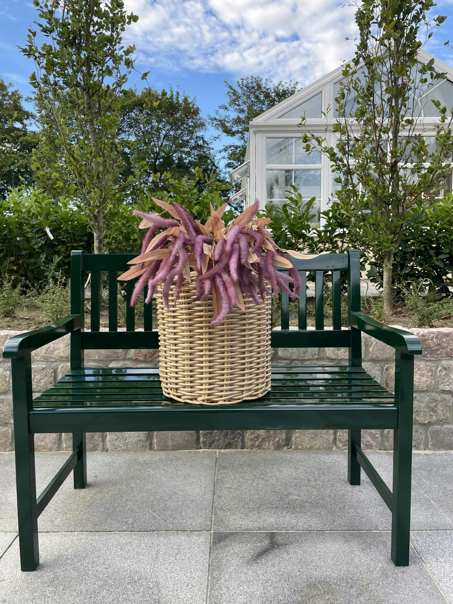 Amaranthus lilla