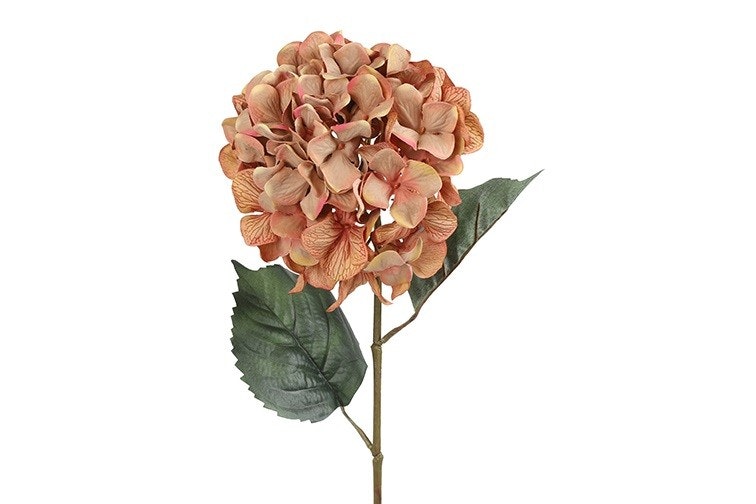 Hortensia Gammel rosa