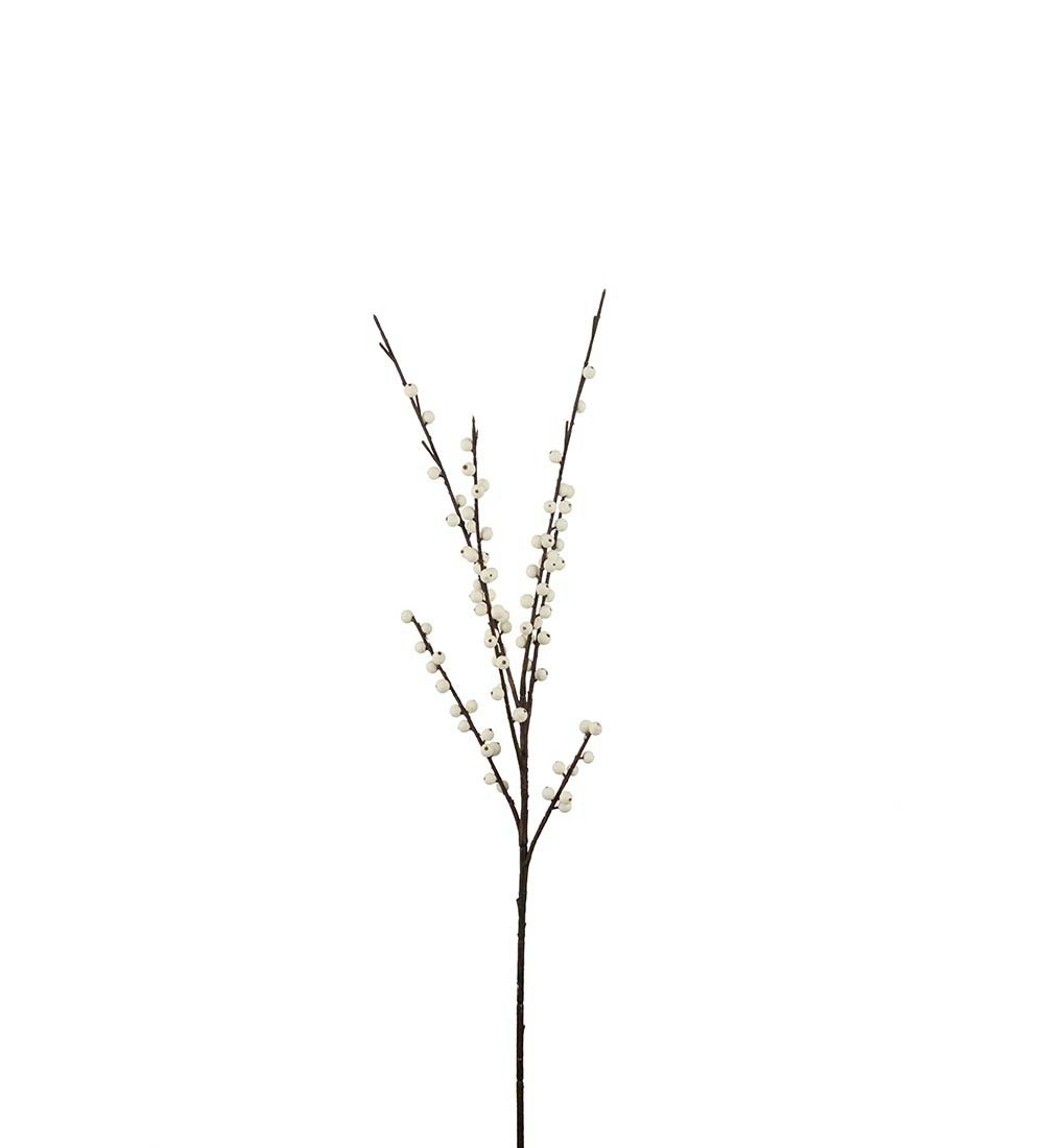 Snebær gren