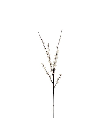 Snebær gren