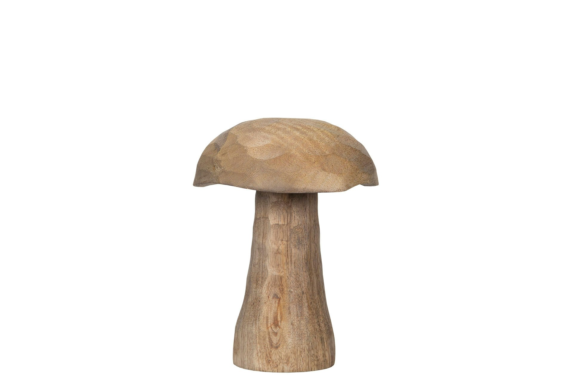 Træ svamp