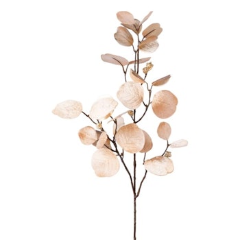 Eucalyptus Fløjl cham